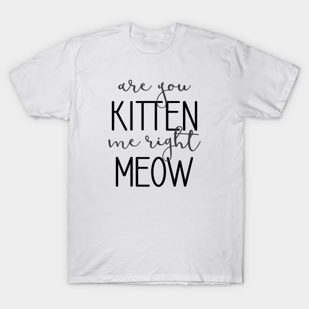 Are You Kitten Me Right Meow T-Shirt by amyvanmeter